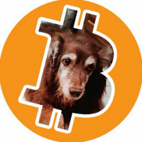 Bitcoin Dog