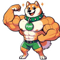 PUMP CTO