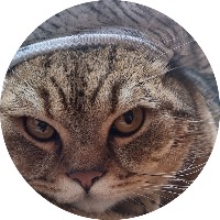 MadCatwithBeanie