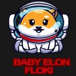 BabyElonFkoki