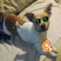 Pizza T