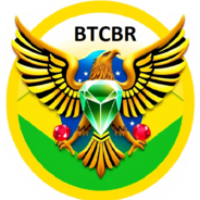 BitcoinBR