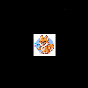 NanoNanoDogeCoin