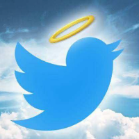 Simon Twitter Bird