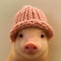pig wif hat