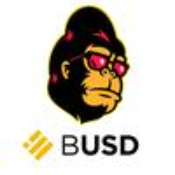 FEGBUSD - BUSD Reflection for Every Holder!