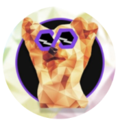 PolyYork