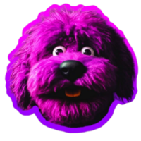 Solkie