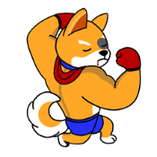 Rocky Doge