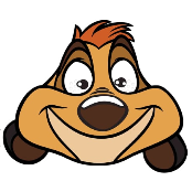 Timon Finance