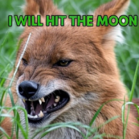 DHOLE