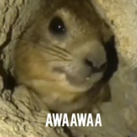 Awawa