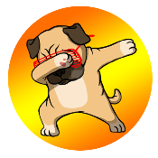 EverDoggy
