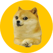 NFT BABY DOGE