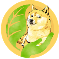 SAFE DOGE COIN
