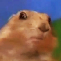 Dramatic Chipmunk