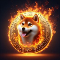 BurnShib