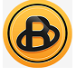 BridgeCoin
