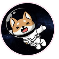SPACE INU