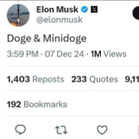 MiniDoge