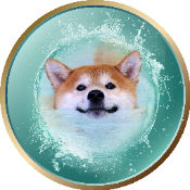 Aqua Shiba