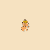 MicroDoge