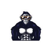IRONMONKEY FINANCE