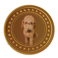 KDOG POS COIN