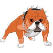 BullyToken