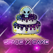SpaceXCake