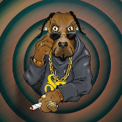 Snoop Doge