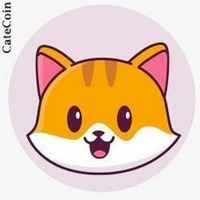 CateCoin-meme