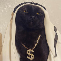 Sheikh Ibn-Catmoon