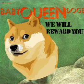 BabyQueenDoge