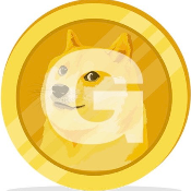 GDOGE COIN FINANCE