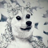 Mintdoge