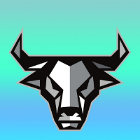 BullBankers Financial