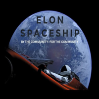 ElonSpaceShip