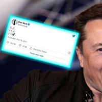 Rabbit Elon