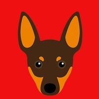 Chipin Inu