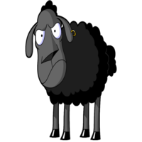 Black Sheep Coin