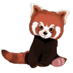 Red Panda Inu