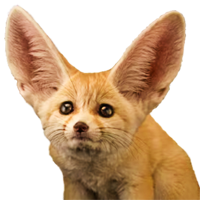 FENNK