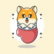 Baby Shiba