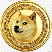 Doge Gold Coin
