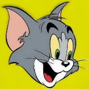 TomCat Token