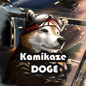 KamikazeDOGE