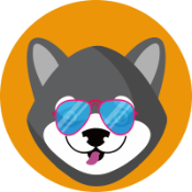 BtcDogeCoin