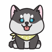 Son Doge Coin