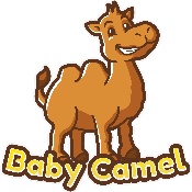Baby Camel